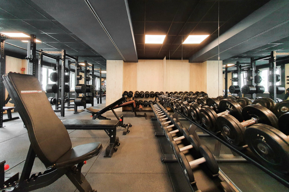 Freihantelbereich im Thomas Sport Center Johannstadt in Dresden