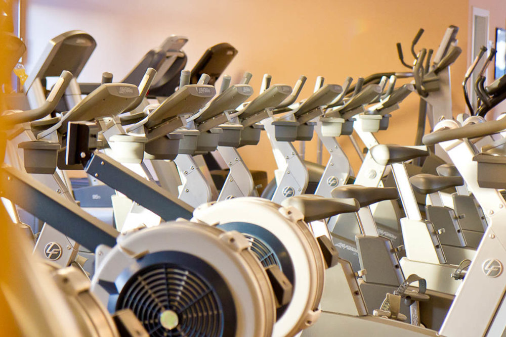 Cardiobereich mit modernen Ausdauergeräten im TSC Löbtau – Fitnessstudio in Dresden