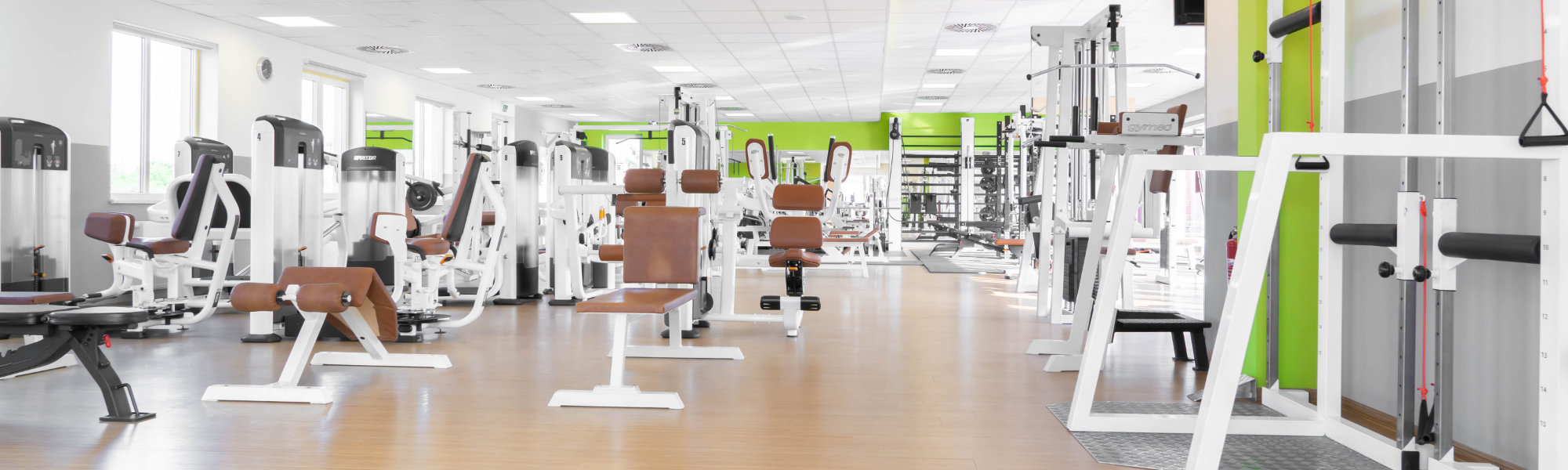 Fitnessstudio Thomas Sport Center Tolkewitz in Dresden mit moderner Trainingsfläche