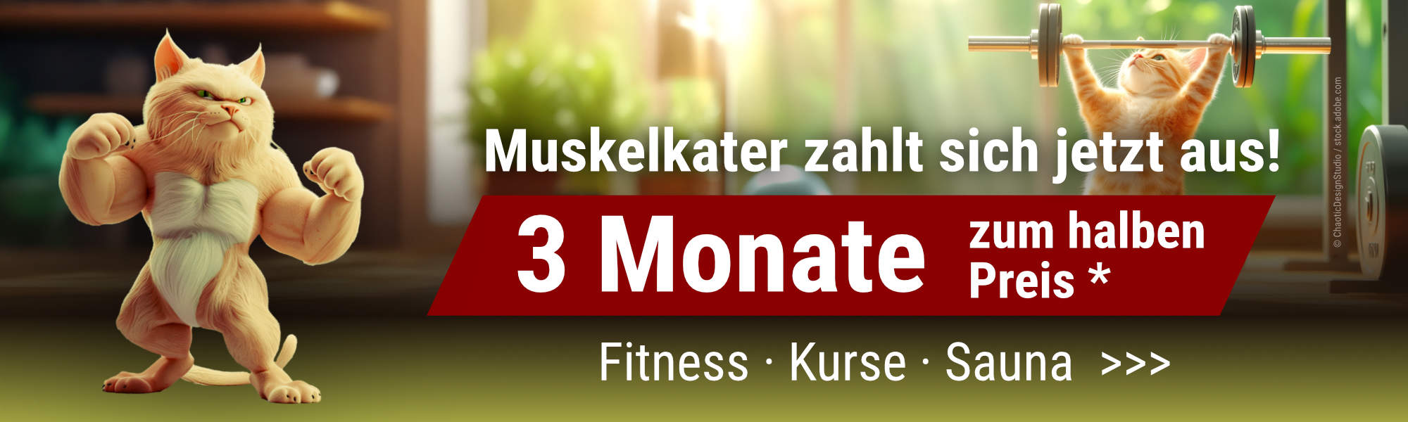 Header-Bild vom Thomas Sport Center - Fitness Dresden – Dein Fitnessstudio in Dresden mit familiärer Atmosphäre und persönlicher Betreuung.